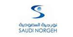 Norgeh Arabia Company Ltd.